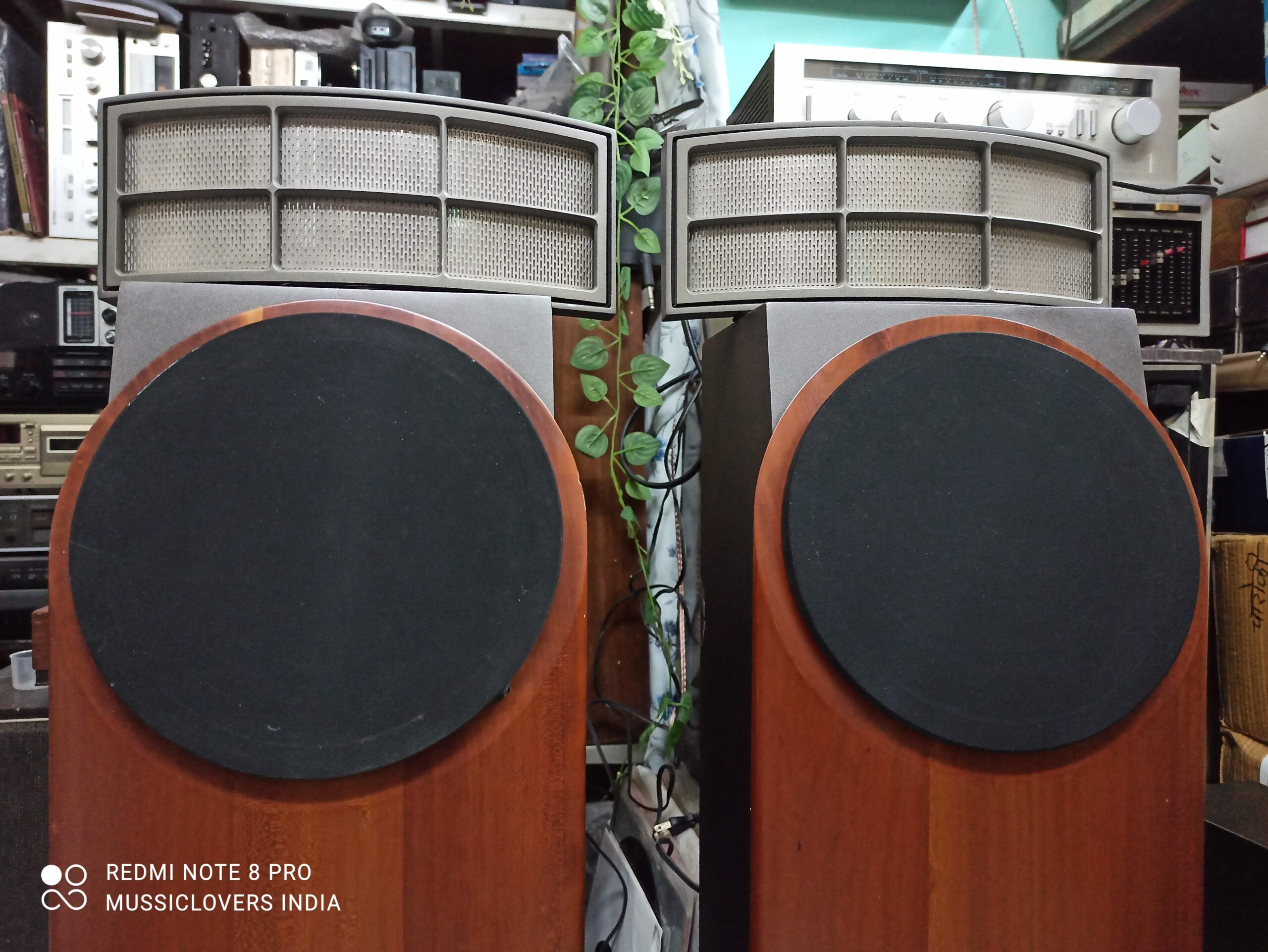 CADENCE AVITA ARCA 2 WAY HYBRID ELECTROSTATIC HI FI SPEAKERS - Image 4