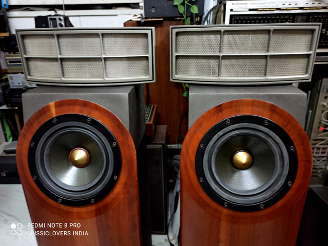 CADENCE AVITA ARCA 2 WAY HYBRID ELECTROSTATIC HI FI SPEAKERS