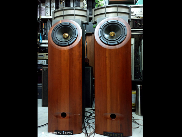 CADENCE AVITA ARCA 2 WAY HYBRID ELECTROSTATIC HI FI SPEAKERS - Image 6