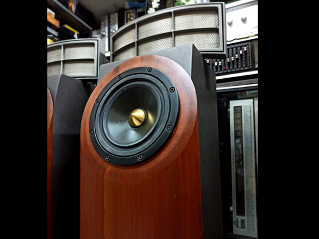 CADENCE AVITA ARCA 2 WAY HYBRID ELECTROSTATIC HI FI SPEAKERS - Image 3